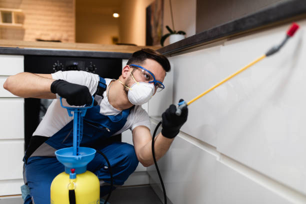 Best Insect Control  in Montezuma, GA