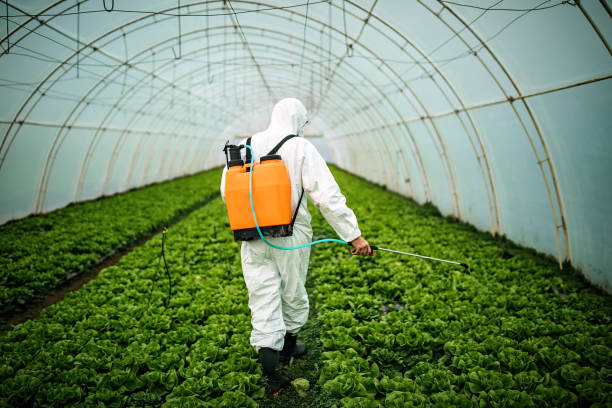 Best Pest Inspection Near Me  in Montezuma, GA