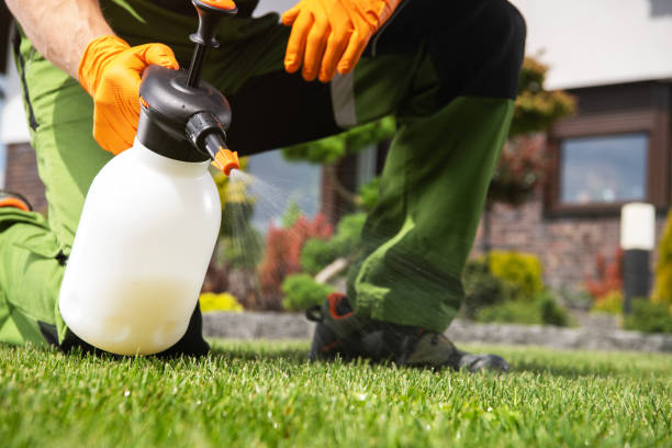 Best Affordable Pest Control Services  in Montezuma, GA