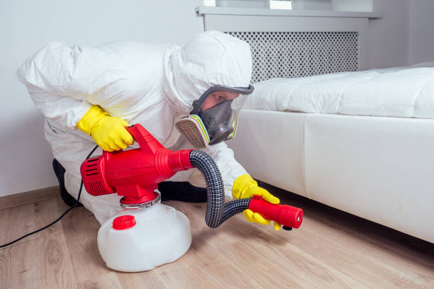 Best Wasp Removal Services  in Montezuma, GA