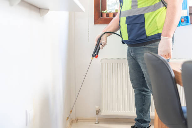 Reliable Montezuma, GA Pest Control Solutions