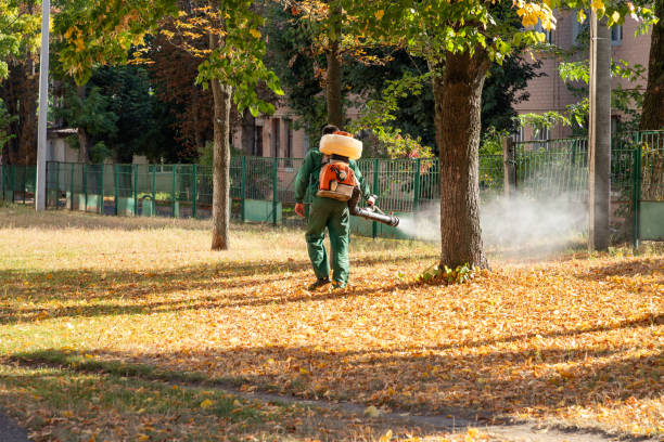 Best Affordable Pest Control Services  in Montezuma, GA