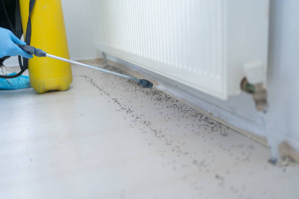 Pest Control Cost in Montezuma, GA
