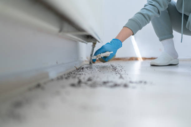 Best Rodent Control Near Me  in Montezuma, GA
