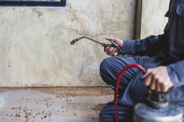 Best Best Pest Control Companies  in Montezuma, GA